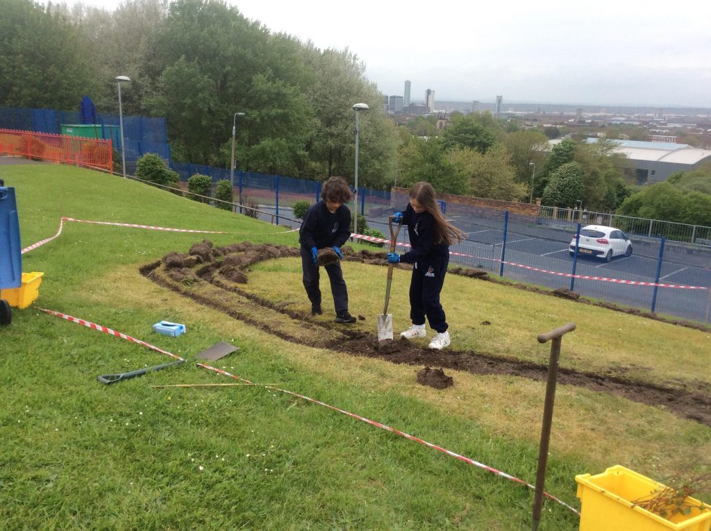 Wildflower Plot Our Lady Immaculate Catholic Primary School